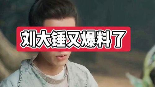 刘大锤爆料苏醒视频播放,揭秘幕后真相